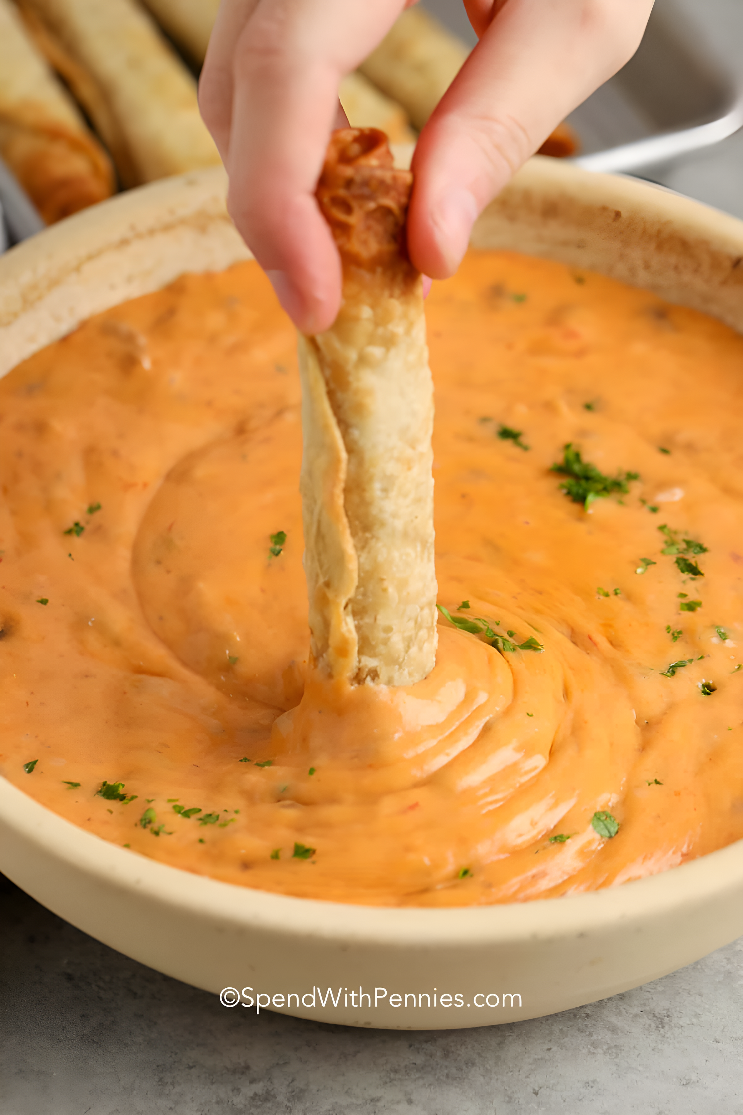 Beef Queso Dip : Easy, Creamy & Loaded with Flavor