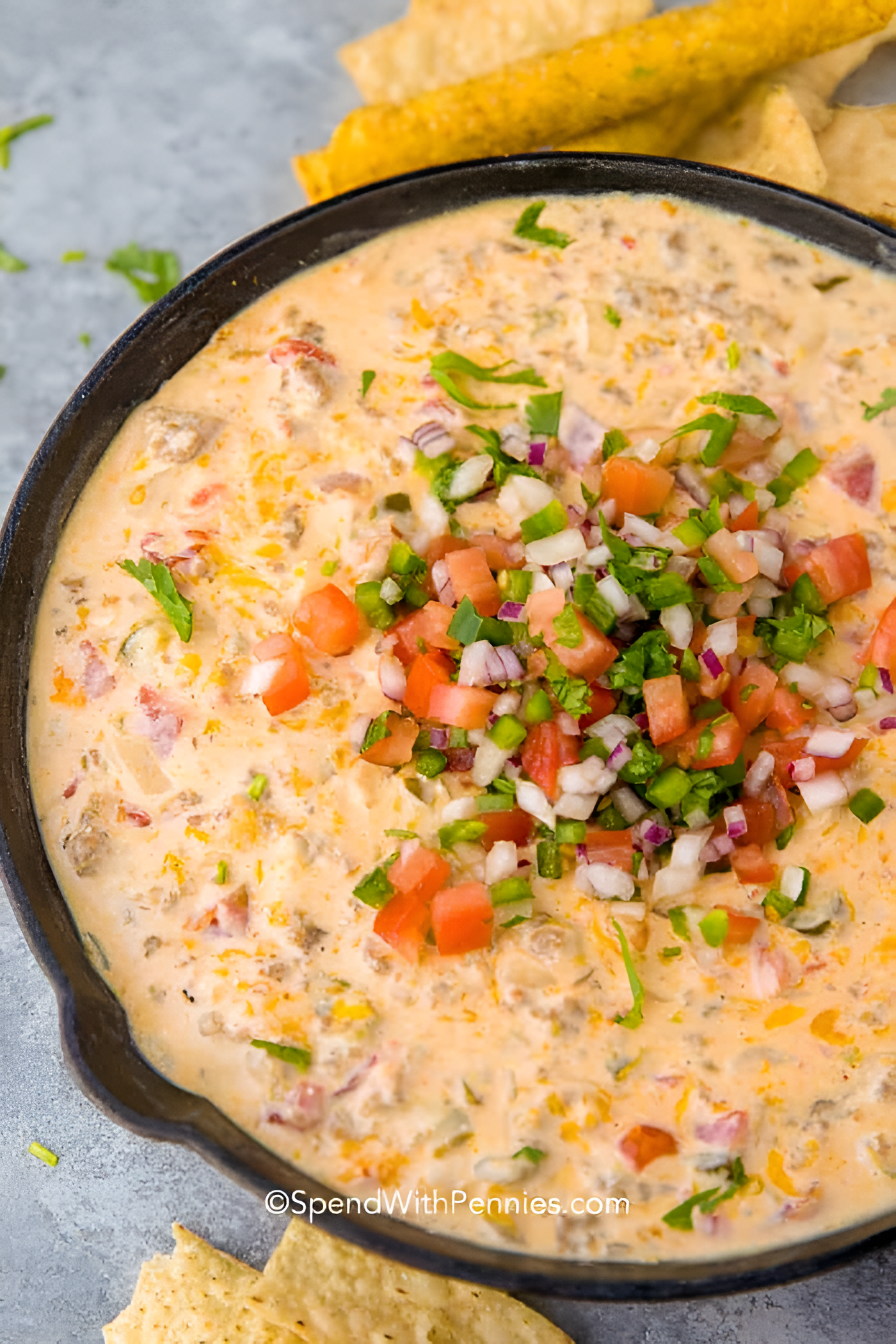 Queso Dip Recipe : Creamy, Cheesy Dip