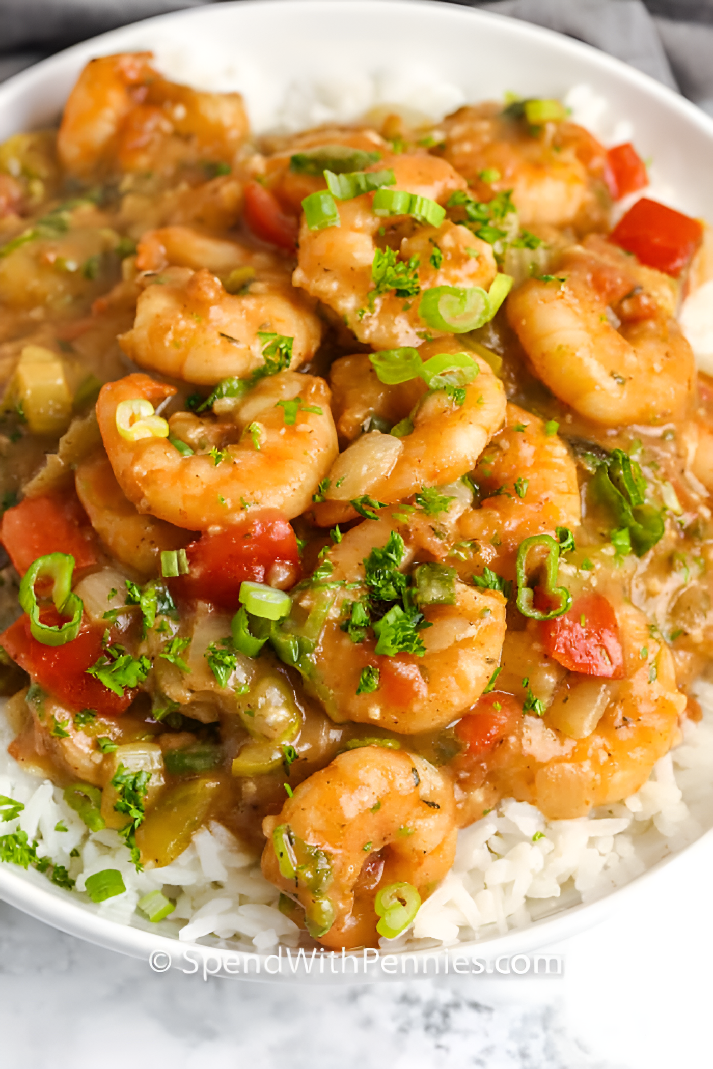 Shrimp Etouffee Recipe : Classic Louisiana Cajun Dish