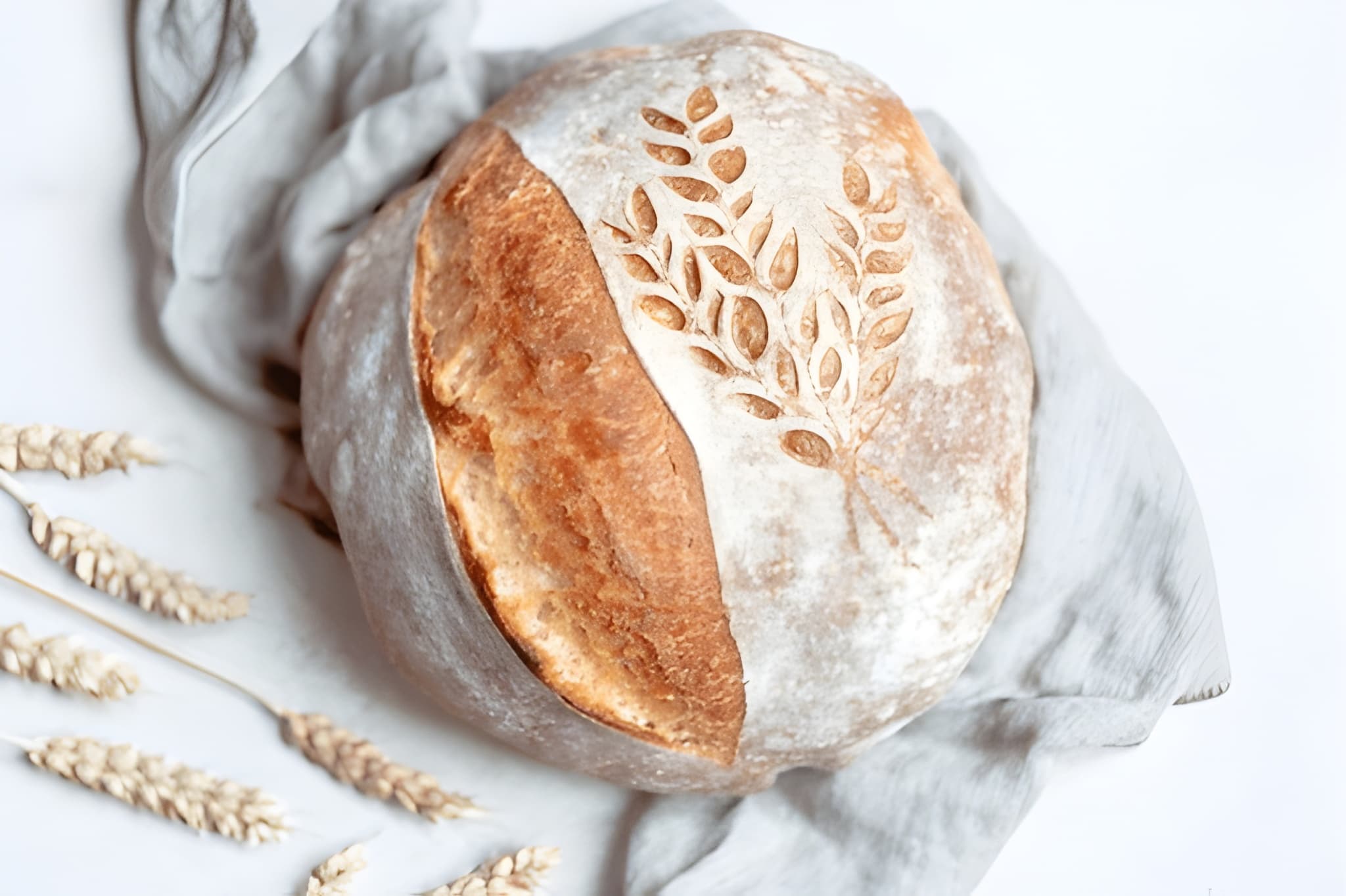 steptodown.com737054