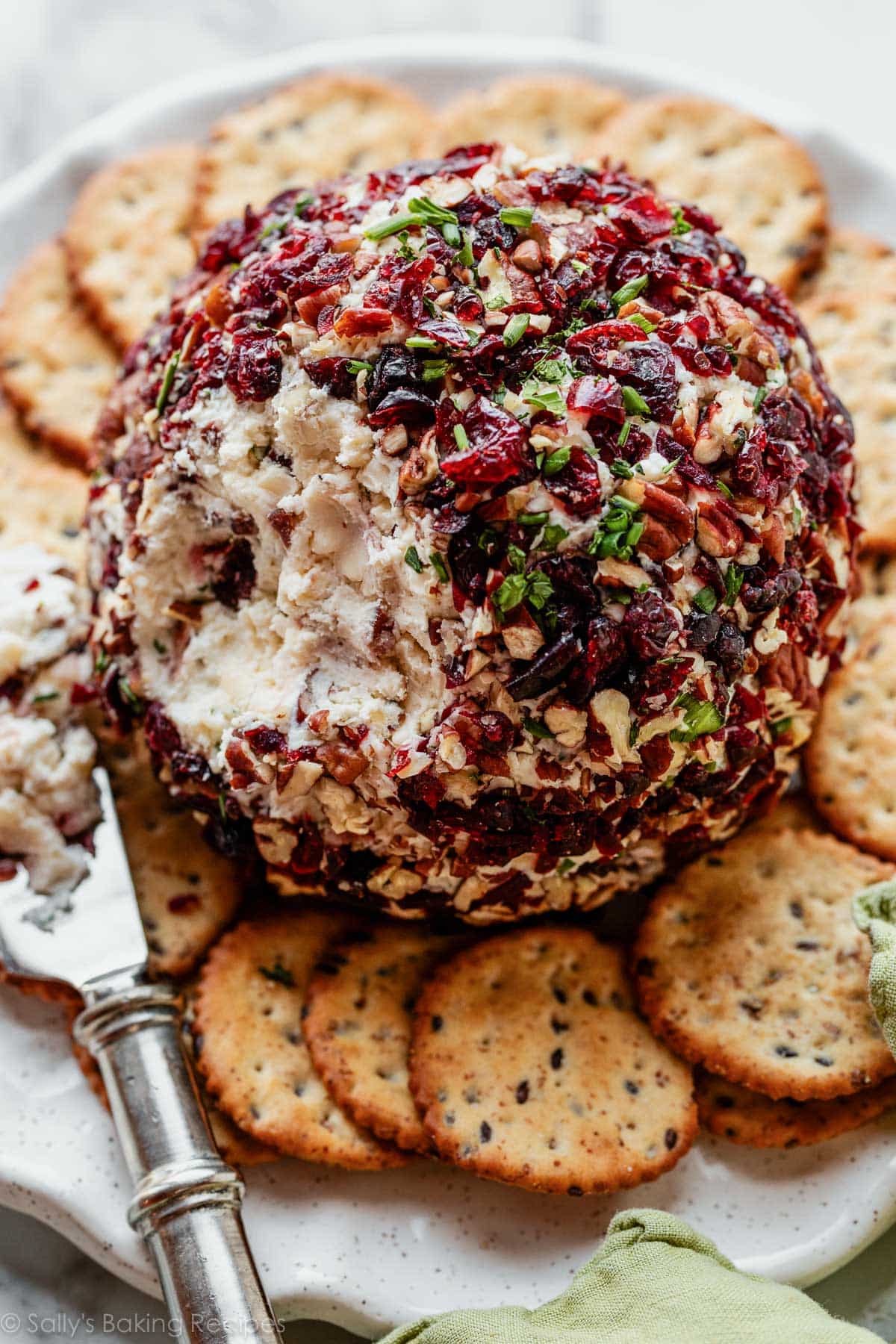 cranberry-pecan-white-cheddar-cheese-ball