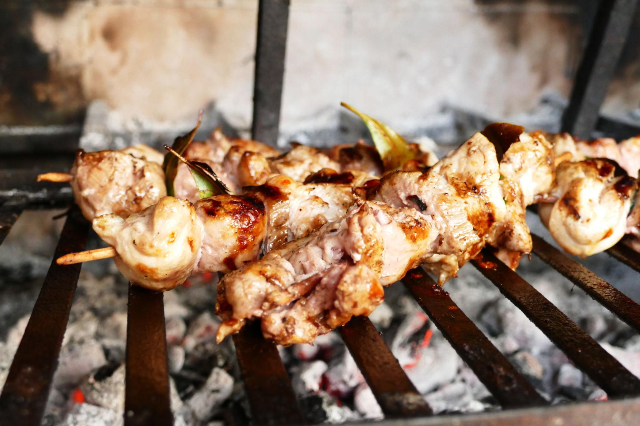 Turkish Chicken Kebabs with Smoky Mediterranean Spices